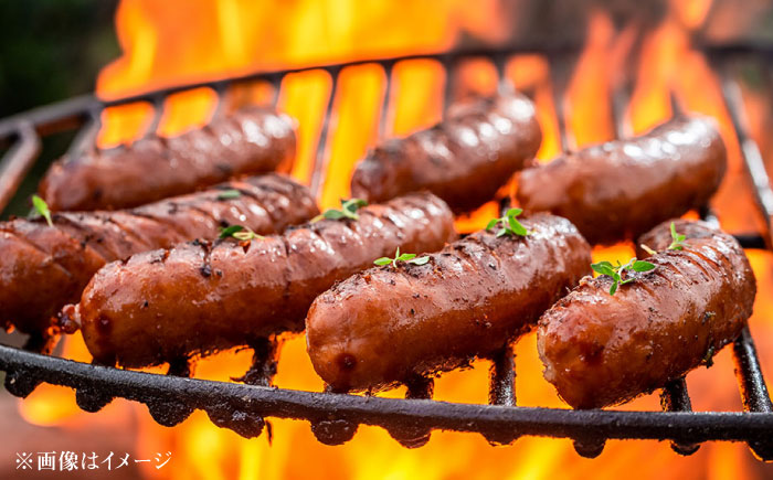 大分県日田市産 とびうめ豚 フランクフルト 900g 日田市 / 株式会社中津留 [ARCM006]