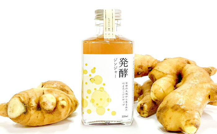 【お歳暮対象】日田杉香るクラフトコーラ　「杉コーラ」　/ピリッと生姜とシナモンの甘い香り　「発酵ジンジャー」　 飲み比べセット（杉コーラ、発酵ジンジャー2本セット/各1本） 日田市/株式会社インパクト スパイス 炭酸 シロップ [ARDA009]