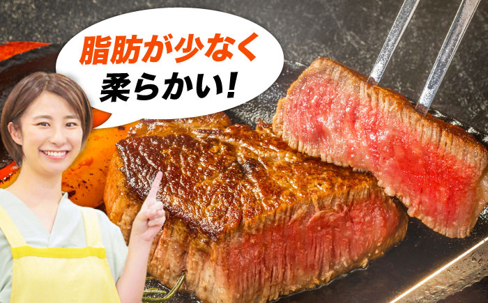 おおいた豊後牛 ヒレ ステーキ 450g(150g×3枚) ヒレ 日田市 / 株式会社MEAT PLUS　牛 うし 黒毛和牛 和牛 豊後牛 [AREI028] 【単品】450g(150g×3)