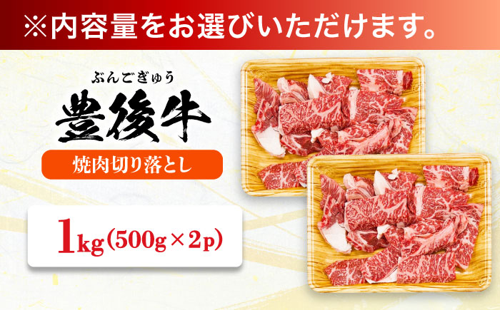 【訳あり】おおいた豊後牛 焼肉 切り落とし 1kg(500g×2P) 日田市 / 株式会社MEAT PLUS　牛 うし 黒毛和牛 和牛 豊後牛 [AREI033] 【単品】1kg(500g×2)