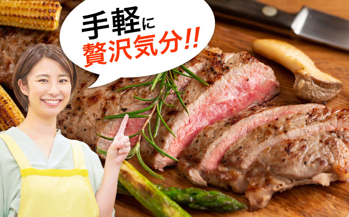 【全3回定期便】おおいた豊後牛 サーロインステーキ 500g (250g×2枚) 日田市 / 株式会社MEAT PLUS　肉 牛肉 和牛 [AREI056] 【全3回定期便】