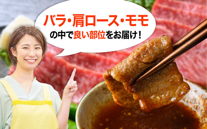 【全3回定期便】おおいた豊後牛 焼肉用 500g 日田市 / 株式会社MEAT PLUS　牛 うし 黒毛和牛 和牛 豊後牛 [AREI098] 【全3回定期便】