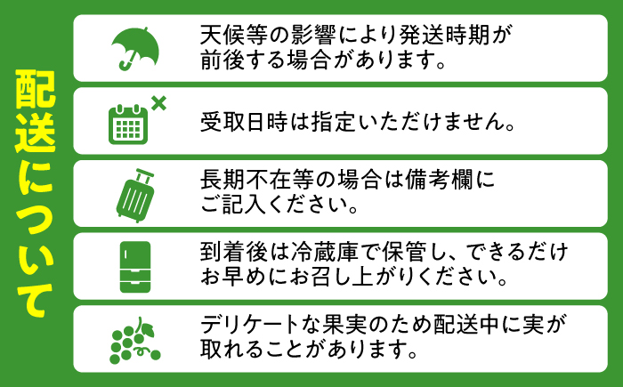 【先行予約・26年9月以降発送】日田産シャインマスカット 1房 約700g　至福のしずく ぶどう 日田市 / 松岡果樹園 [AREJ001]