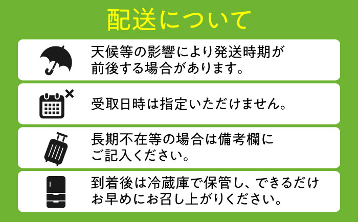 【期間限定】 旬の日田梨お届け便 約2.5kg(幸水、豊水、秋月、新高、新興) 　日田市 / 南国フルーツ株式会社 なし 梨 果物 フルーツ [ARET007] 約2.5kg(4～9玉)