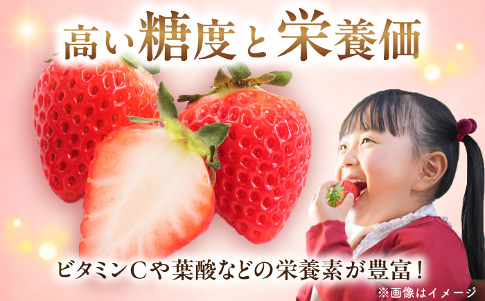 【先行予約・26年2月以降発送】 「ベリーツ」平大玉 約280g×2パック　日田市 / 株式会社スカイファーム [AREU001]