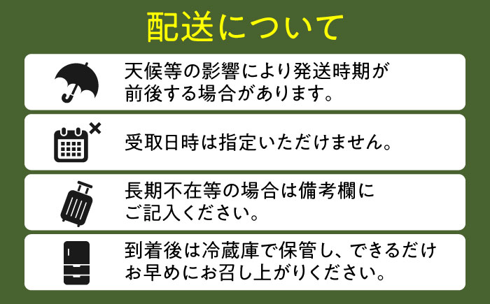【先行予約・26年6月以降発送】尺玉西瓜 1玉（約7kg～9kg）スイカ 日田市 / JAおおいた【配送不可地域：北海道・沖縄・離島】 [AREW001]