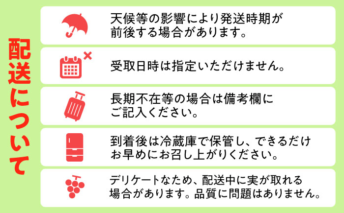 【先行予約・26年8月以降発送】シャインマスカット 1箱 (600g～700g×2房) ぶどう 日田市 / JAおおいた【配送不可地域：北海道・沖縄・離島】 [AREW005]