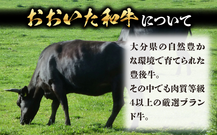 おおいた和牛ヒレステーキ(150g×1枚) 和牛 ヒレ ヒレステーキ 日田市 / (株)吉野(デリカミート吉野) [ARFE005]
