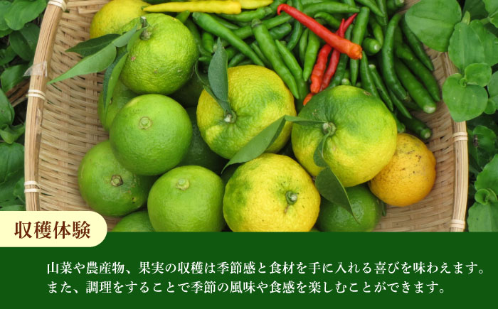 【日田を満喫体験】選べる！思い出に残る体験チケット補助券(3,000円分)　日田市 / 日田グリーンツーリズム花の木 トラベル 旅行 体験チケット [ARFM005]