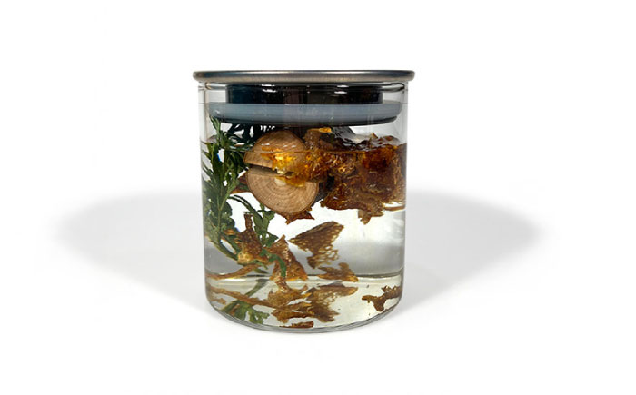 【オリジナルの1杯を】Forest Liquor Base(フォレストリカーベース)　日田市 / ライフデザインショップ エリアス　カクテル リキュール オリジナルカクテル [ARAC019]