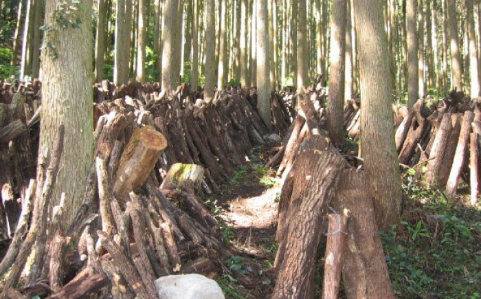 【椎茸ごちそう便】 鶏めしの素 150g×4・うま煮 100g×1 鶏めし 日田市 / 有限会社マルナカフーズ [ARAG004]