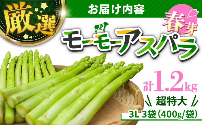 【期間限定】希少な3Lサイズのみを厳選！ モーモーアスパラ 春芽 3L 1.2kg（3月中旬から順次発送）酪農 牧場 こだわり アスパラガス 高級 大分県 日田市 / 株式会社本川牧場 [ARAI033]