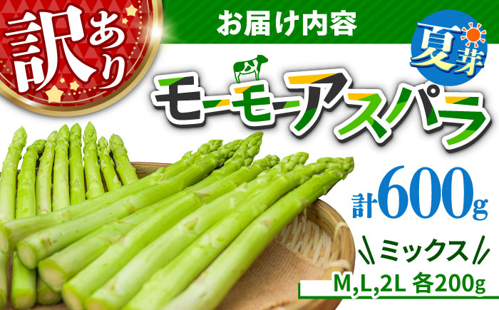 【訳あり/期間限定】モーモーアスパラ夏芽 2L～M 600g 味に全く問題なし！安く手頃に！3種食べ比べ 600g アスパラガス 日田市 / 有限会社本川牧場 [ARAI034]