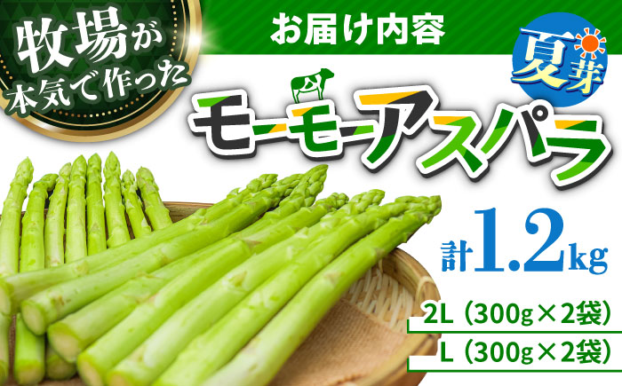 【期間限定】モーモーアスパラ夏芽 2L・L 1.2kg 迷ったらこれ！ちょうどいい太さ2種セット 1.2kg 日田市 / 有限会社本川牧場 [ARAI035]
