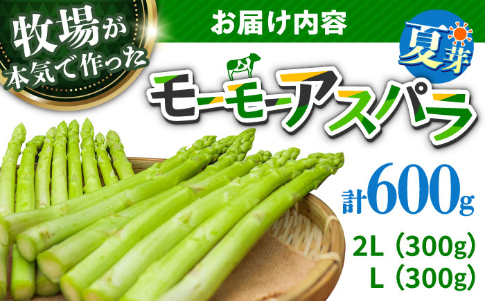 【期間限定】モーモーアスパラ夏芽 2L・L  600g 迷ったらこれ！ちょうどいい太さ2種セット 600g 日田市 / 有限会社本川牧場 [ARAI036]