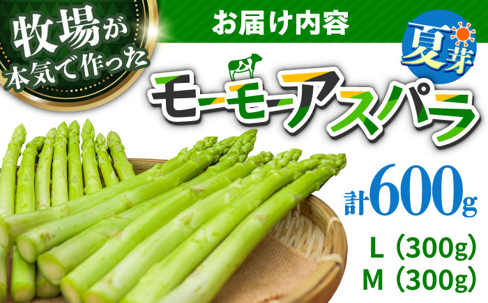【期間限定】モーモーアスパラ夏芽 L・M 600g 食べやすい太さの2種セット 600g 日田市 / 有限会社本川牧場 [ARAI037]