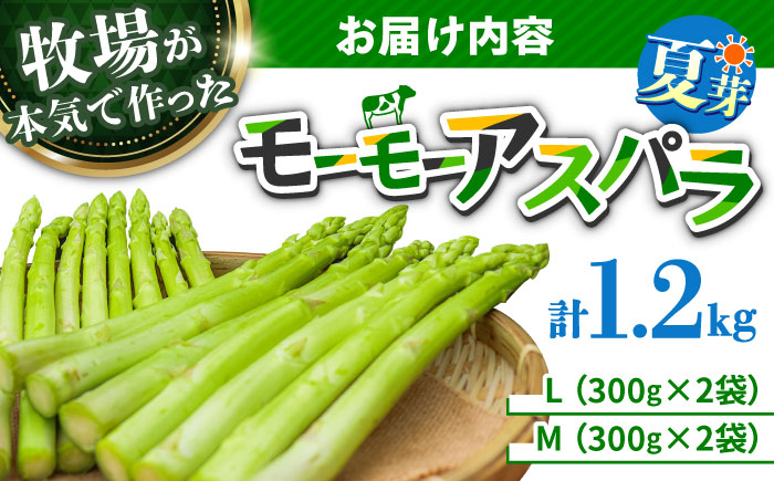 【期間限定】モーモーアスパラ夏芽 L・M 1.2kg 食べやすい太さの2種セット 1.2kg 日田市 / 有限会社本川牧場 [ARAI038]