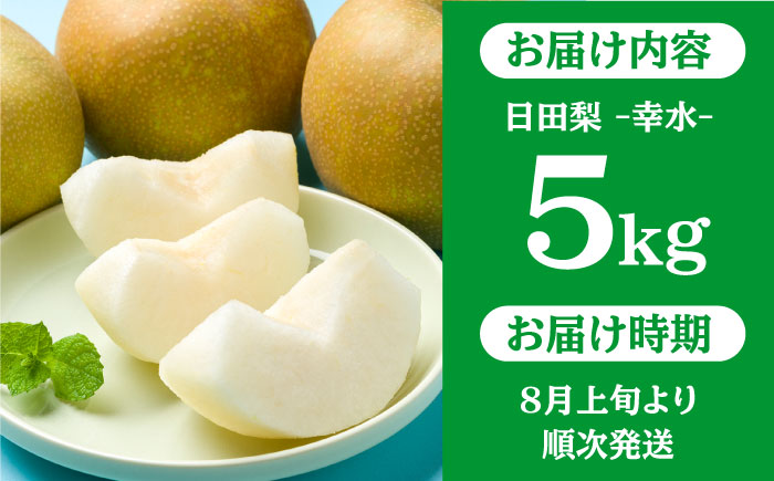 【先行予約・26年8月以降発送】日田梨 幸水 5kg 梨 日田市 / 日田梨協同組合 [ARBB001]
