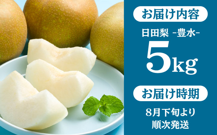 【先行予約・26年8月以降発送】日田梨 豊水 5kg 梨 日田市 / 日田梨協同組合 [ARBB002]