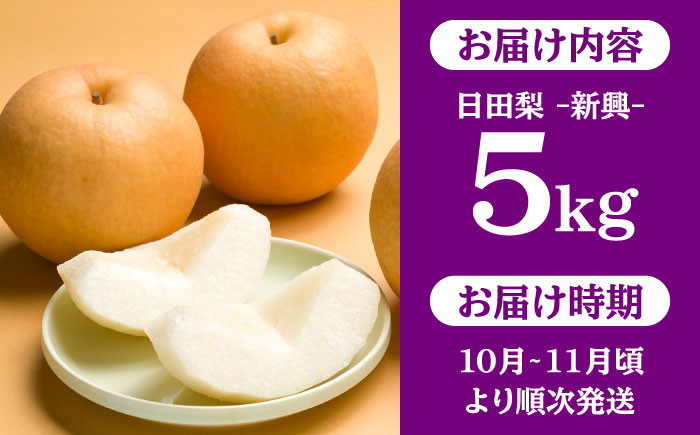 【先行予約・25年10月以降発送】日田梨 新興 5kg 梨 日田市 / 日田梨協同組合 [ARBB005]