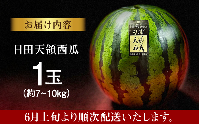 【先行予約・26年6月以降発送】日田天領 西瓜 1玉 約7kg～10kg 100サイズ スイカ 日田市 / 日田天領西瓜部会 【配送不可地域：北海道・沖縄・離島】[ARBD001]