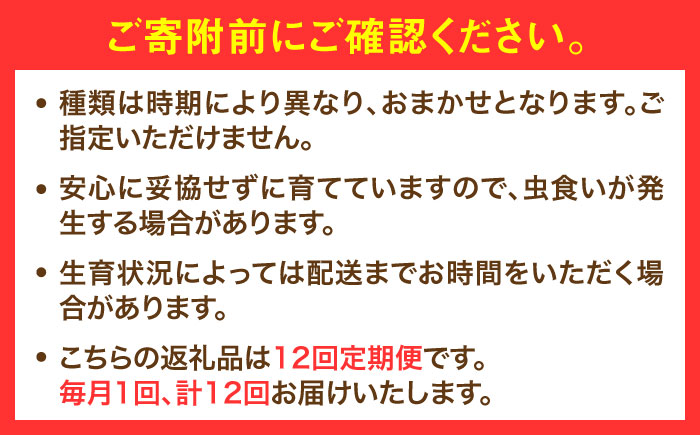 【全12回定期便】農家セレクト！特別栽培 日田の厳選食材 詰め合わせ 日田市 / 自然工房Mori 野菜 果物 米 産地直送 新鮮 セット [ARBR002]