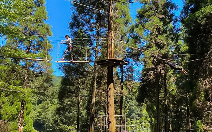アドベンチャーコース体験チケット2名様 日田市 / 株式会社ファンカンパニー（ﾌｫﾚｽﾄｱﾄﾞﾍﾞﾝﾁｬｰ奥日田） [ARCI002]