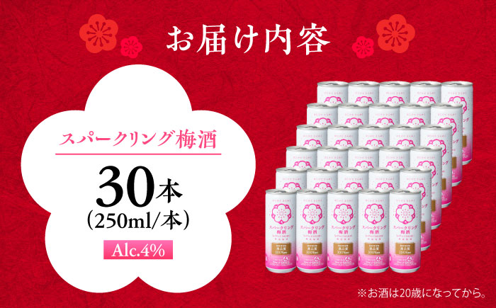 スパークリング梅酒 1ケース(250ml×30本入り)　日田市 / 株式会社おおやま夢工房 梅酒 梅 スパークリング [ARCW012]