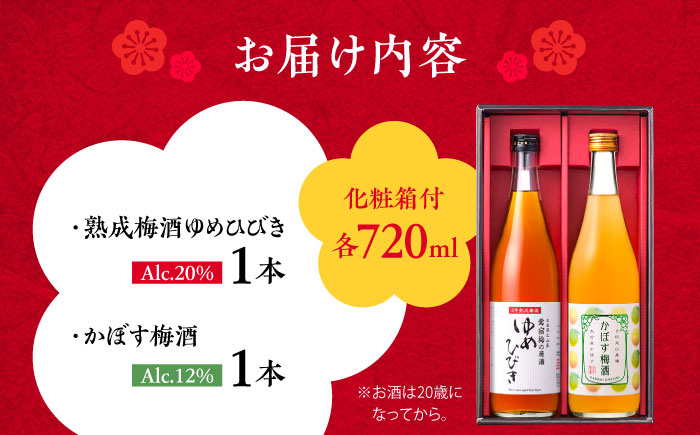 梅酒蔵おおやま 梅酒セット(梅酒・かぼす梅酒) 各720ml　日田市 / 株式会社おおやま夢工房 梅酒 梅 ウメ [ARCW013]