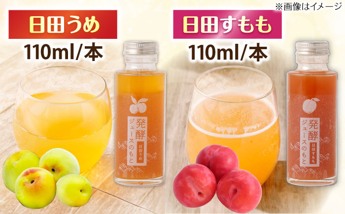 【お歳暮対象】発酵ジュースのもと 飲み比べ5本セット〈かぼす・ゆず・赤しそ・うめ・すもも〉 ジュース 日田市 / 株式会社インパクト [ARDA006]