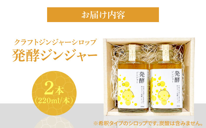 【お歳暮対象】ピリっと生姜にスパイスの甘い香り！身体にも心にも優しい発酵ジンジャーシロップ！発酵ジンジャー（2本セット） 日田市/株式会社インパクト スパイス 炭酸 シロップ [ARDA010]
