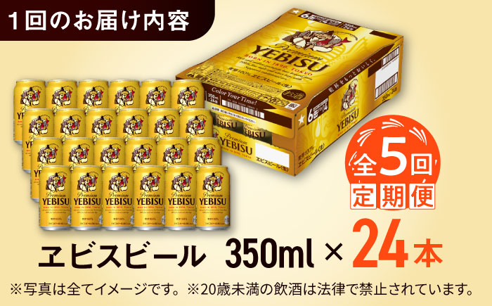 【全5回定期便】サッポロ ヱビスビール 350ml×24缶　合計120缶 日田市 / 株式会社綾部商店 [ARDC001] 【全5回定期便】