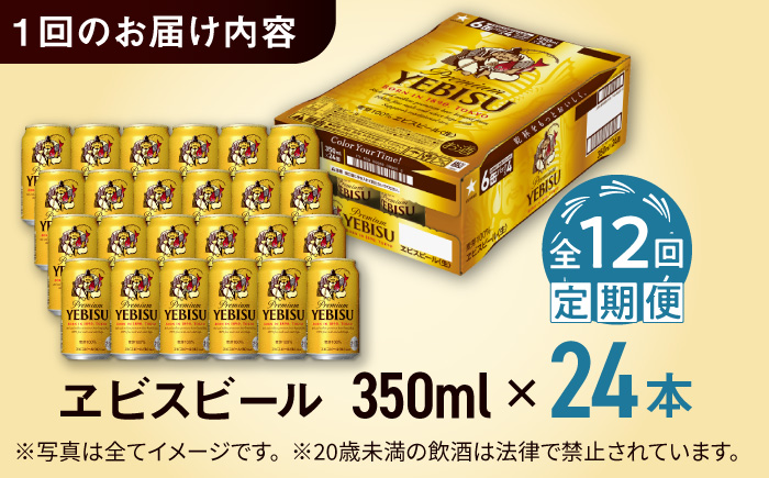 【全12回定期便】サッポロ ヱビスビール 350ml×24缶　合計288缶 日田市 / 株式会社綾部商店 [ARDC006] 【全12回定期便】