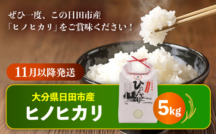 【選べる配送時期】令和7年産大分県産ヒノヒカリ 5kg　日田市 / JAおおいた日田グリーンセンター 米 [ARDX004] 25年11月以降発送