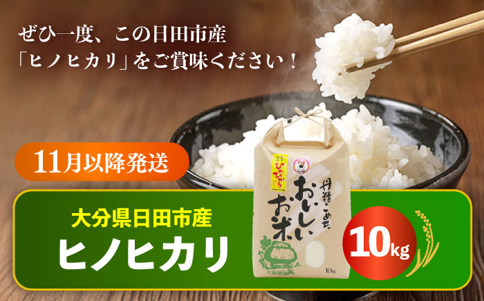 【選べる配送時期】令和7年産大分県産ヒノヒカリ 10kg　日田市 / JAおおいた日田グリーンセンター こめ コメ 米 [ARDX005] 25年11月以降発送