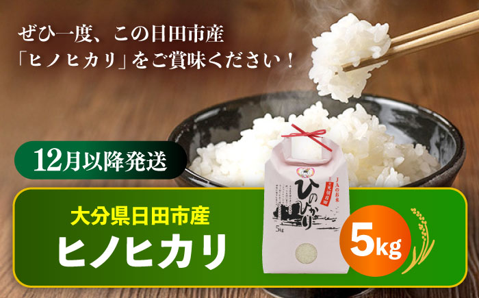 令和7年産大分県産ヒノヒカリ 5kg　日田市 / JAおおいた日田グリーンセンター こめ コメ 米 [ARDX006] 25年12月以降発送