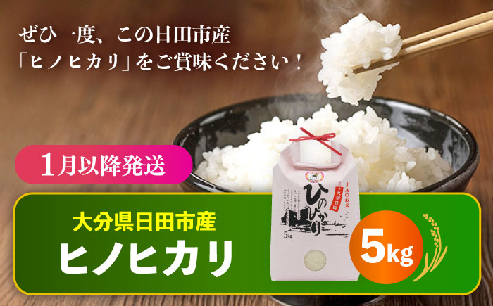 【先行予約・26年1月以降発送】令和7年産大分県産ヒノヒカリ 5kg　日田市 / JAおおいた日田グリーンセンター こめ コメ 米 [ARDX007] 26年1月以降発送