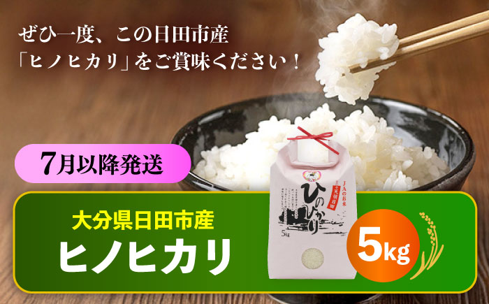 【先行予約・26年7月以降発送】令和7年産大分県産ヒノヒカリ 5kg　日田市 / JAおおいた日田グリーンセンター こめ コメ 米 [ARDX013]