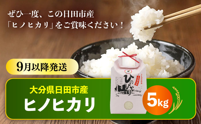 【先行予約・26年9月以降発送】令和7年産大分県産ヒノヒカリ 5kg　日田市 / JAおおいた日田グリーンセンター こめ コメ 米 [ARDX015]