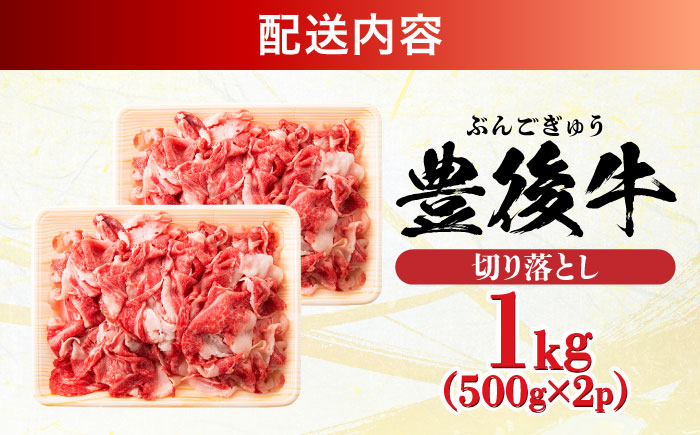 【小分けで便利！】おおいた豊後牛 牛肉 切り落とし 1kg (500g×2)  日田市 / 株式会社MEAT PLUS　肉 牛肉 和牛 [AREI003] 【単品】1kg(500g×2)