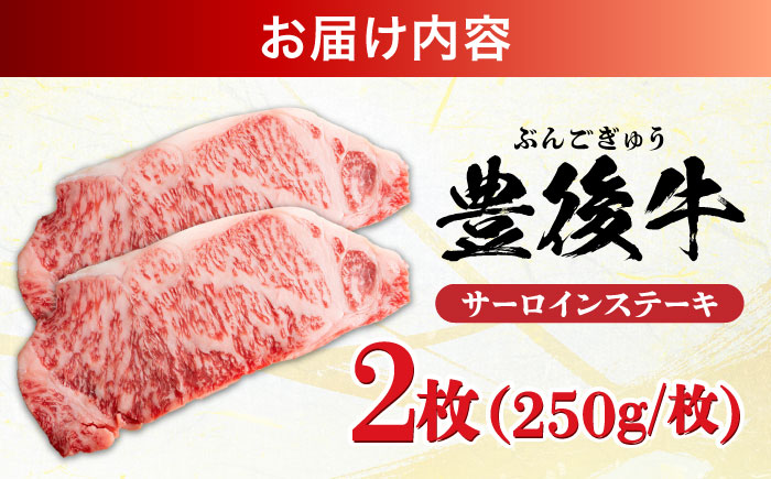 おおいた豊後牛 サーロインステーキ 500g (250g×2枚) サーロイン 日田市 / 株式会社MEAT PLUS　肉 牛肉 和牛 [AREI007] 【単品】500g(250g×2枚)