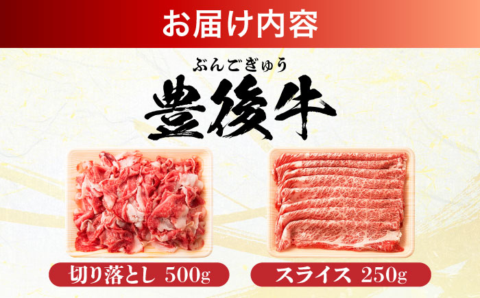【訳あり】おおいた豊後牛 しゃぶしゃぶすき焼き セット（スライス・切り落とし） 750g しゃぶしゃぶ 日田市 / 株式会社MEAT PLUS　肉 牛肉 和牛 [AREI014] 【単品】750g