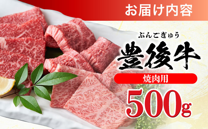 おおいた豊後牛 焼肉用 500g 焼肉 日田市 / 株式会社MEAT PLUS　牛 うし 黒毛和牛 和牛 豊後牛 [AREI021] 【単品】500g