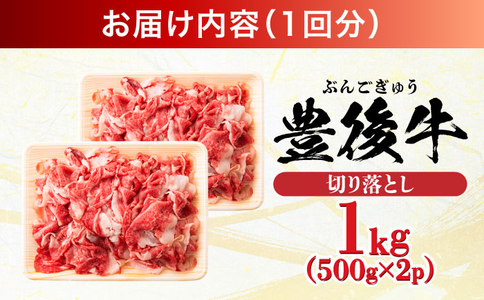 【全3回定期便】【小分けで便利！】おおいた豊後牛 牛肉 切り落とし 1kg (500g×2)  日田市 / 株式会社MEAT PLUS　肉 牛肉 和牛 [AREI044] 【全3回定期便】