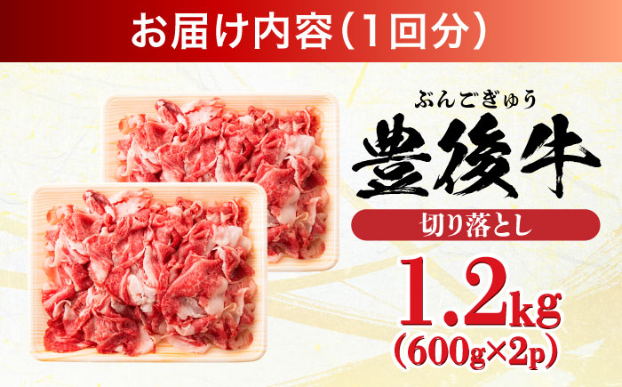 【全12回定期便】【大容量パック！】 おおいた豊後牛 牛肉 切り落とし 1.2kg (600g×2) 日田市 / 株式会社MEAT PLUS　肉 牛肉 和牛 [AREI049] 【全12回定期便】