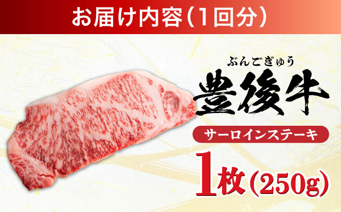 【全6回定期便】おおいた豊後牛 サーロインステーキ 250g (250g×1枚) 日田市 / 株式会社MEAT PLUS　肉 牛肉 和牛 [AREI054] 【全6回定期便】