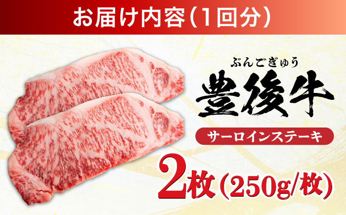 【全6回定期便】おおいた豊後牛 サーロインステーキ 500g (250g×2枚) 日田市 / 株式会社MEAT PLUS　肉 牛肉 和牛 [AREI057] 【全6回定期便】