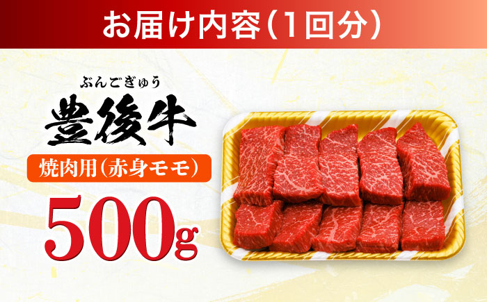 【全6回定期便】おおいた豊後牛 赤身モモ 焼肉用 500g 日田市 / 株式会社MEAT PLUS　牛 うし 黒毛和牛 和牛 豊後牛 [AREI093] 【全6回定期便】