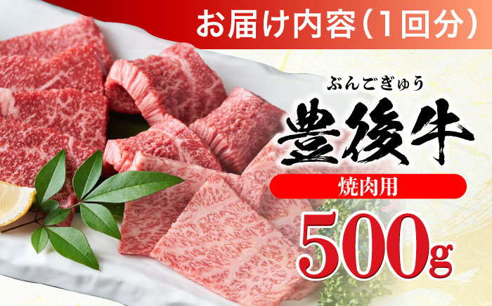 【全3回定期便】おおいた豊後牛 焼肉用 500g 日田市 / 株式会社MEAT PLUS　牛 うし 黒毛和牛 和牛 豊後牛 [AREI098] 【全3回定期便】