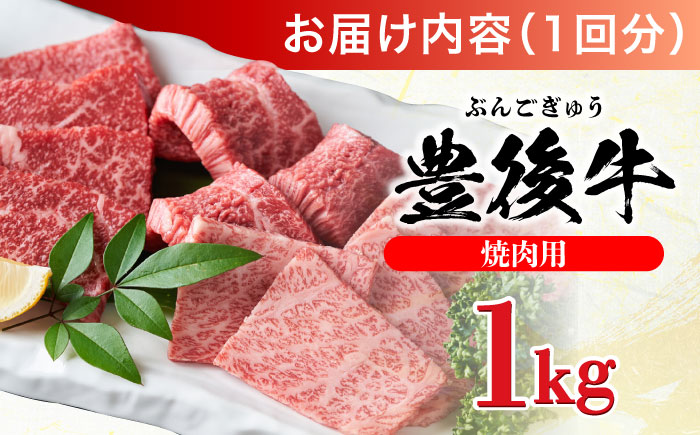 【全12回定期便】おおいた豊後牛 焼肉用 1kg(500g×2P) 日田市 / 株式会社MEAT PLUS　牛 うし 黒毛和牛 和牛 豊後牛 [AREI103] 【全12回定期便】